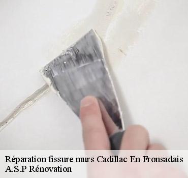 reparation-fissure-murs
