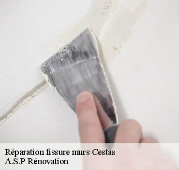 reparation-fissure-murs