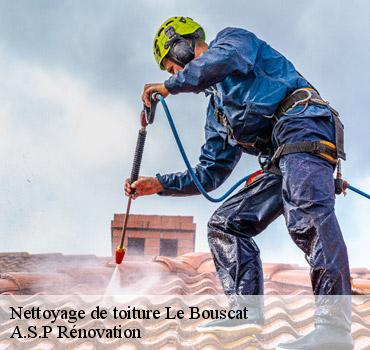 nettoyage-de-toiture