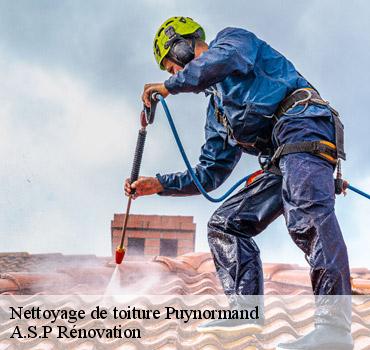 nettoyage-de-toiture