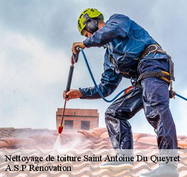 nettoyage-de-toiture