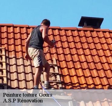 peinture-toiture