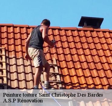 peinture-toiture